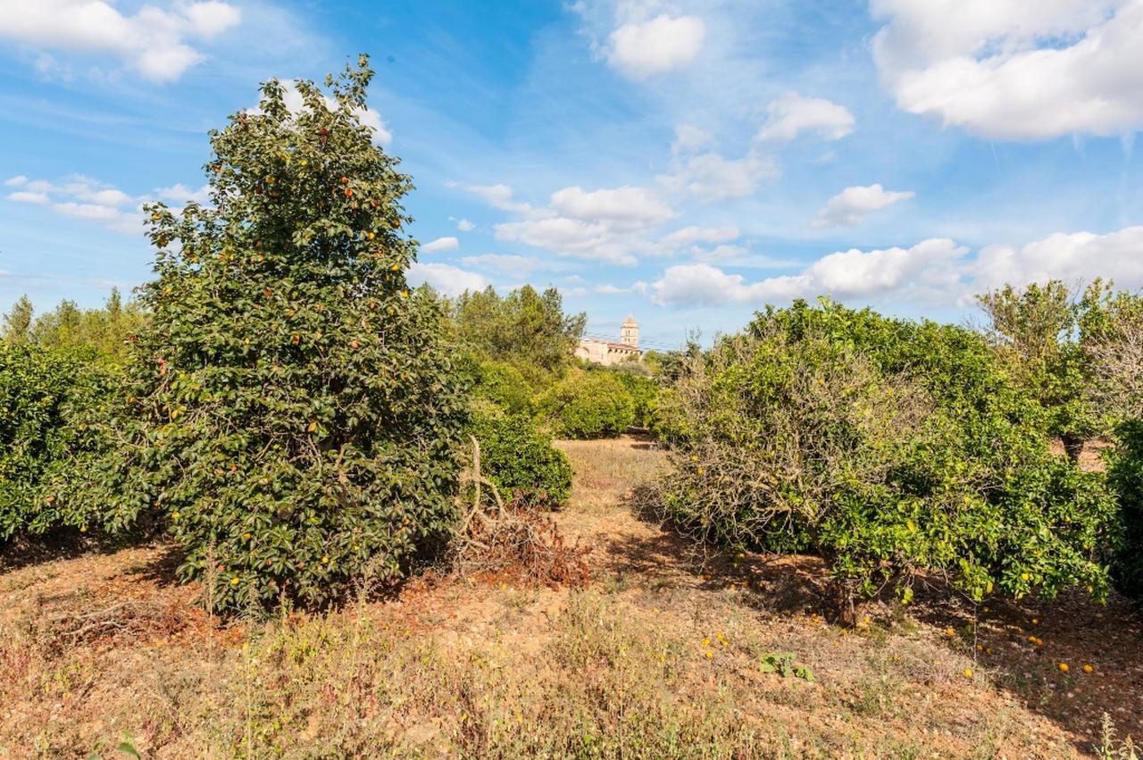 Ses Covetes Villa Petra  Buitenkant foto